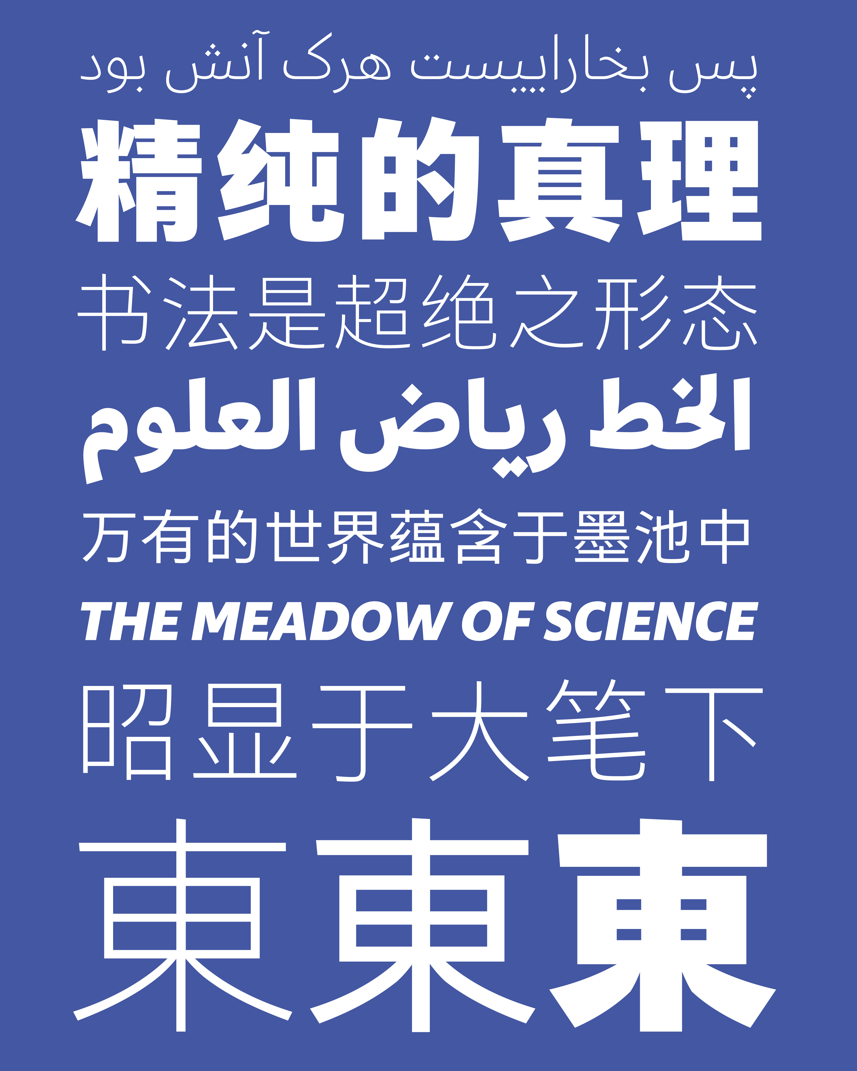 29LT Zarid Hanzi type specimen